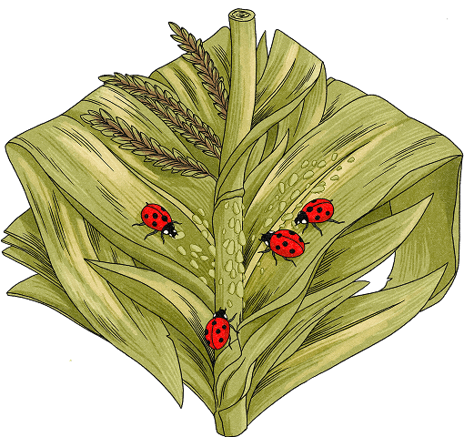 Smarter pest management