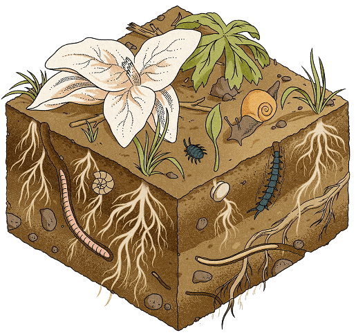 Invertebrate research